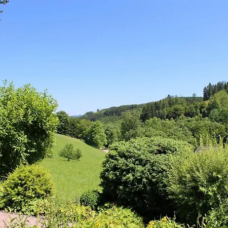 Ferienwohnung Sommerseite 아파트 *